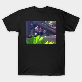 Red Panda T-Shirt